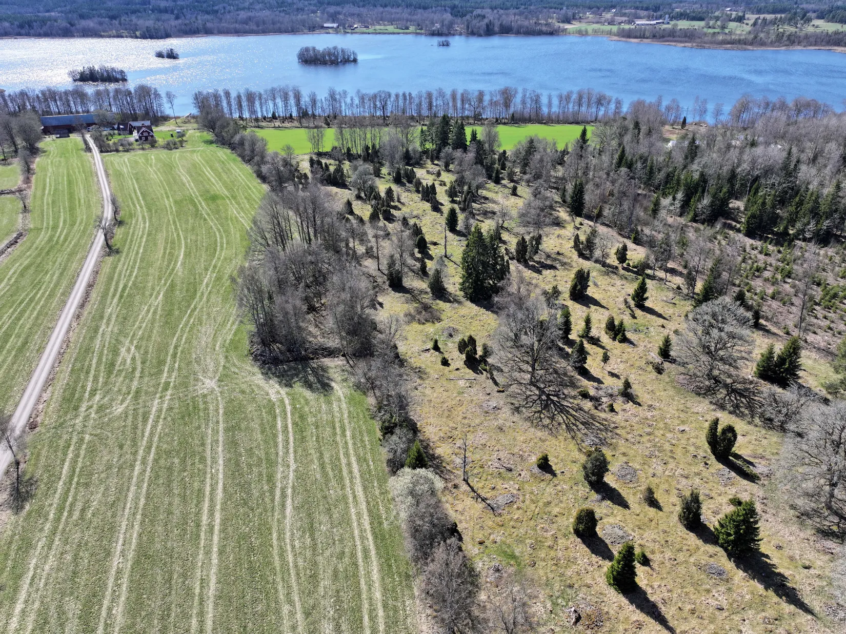 Gård/Skog, Mellby-Äspenäs 2, Eksjö