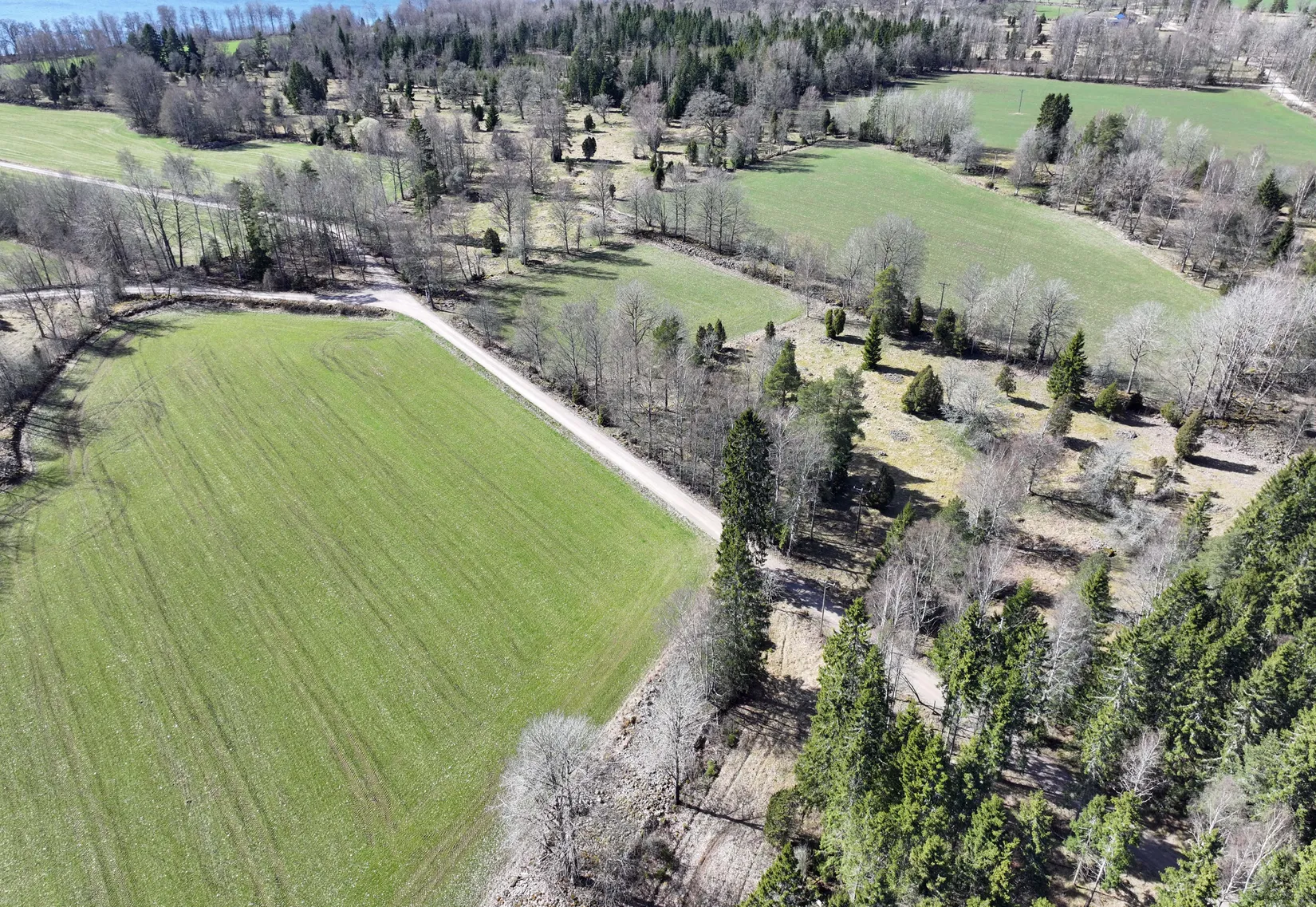 Gård/Skog, Mellby-Äspenäs 2, Eksjö
