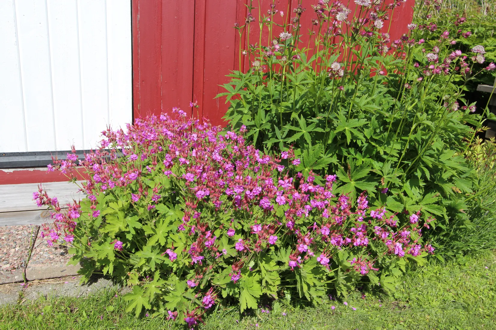 Fritidshus, Enstigen 48, Säter 145, Alnö, Sundsvall
