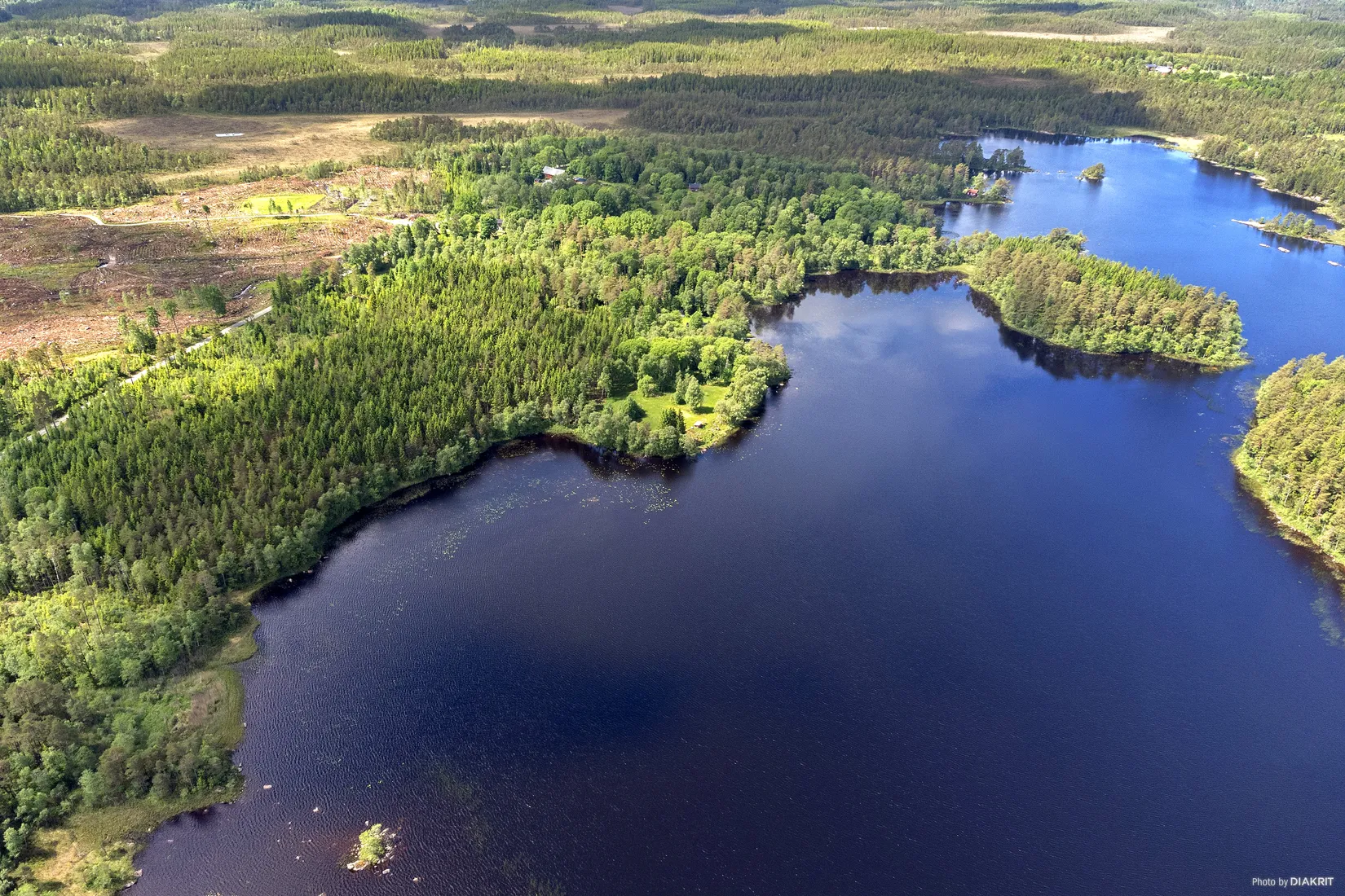 Gård/Skog, Bastås Sjöviken 1, Skogsbygden, Vårgårda