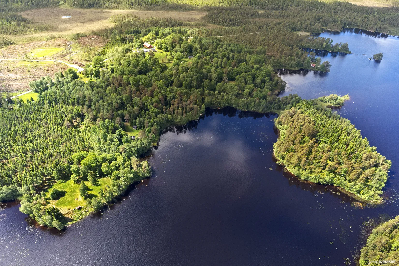 Gård/Skog, Bastås Sjöviken 1, Skogsbygden, Vårgårda