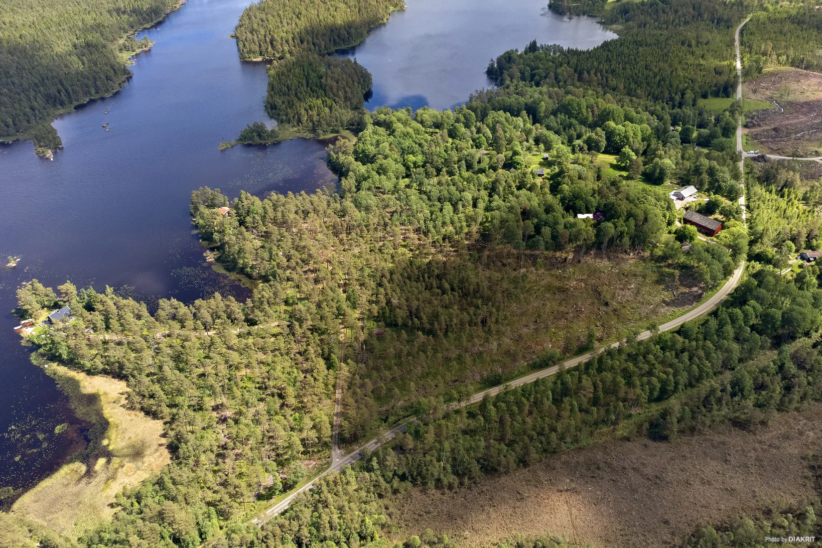 Gård/Skog, Bastås Sjöviken 1, Skogsbygden, Vårgårda