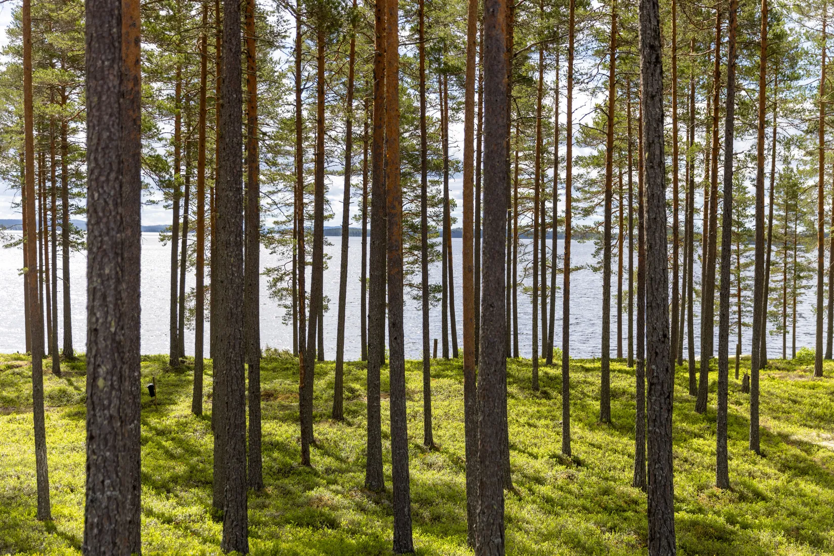 Fritidshus, Kräggtjärnsvägen 68, Mora