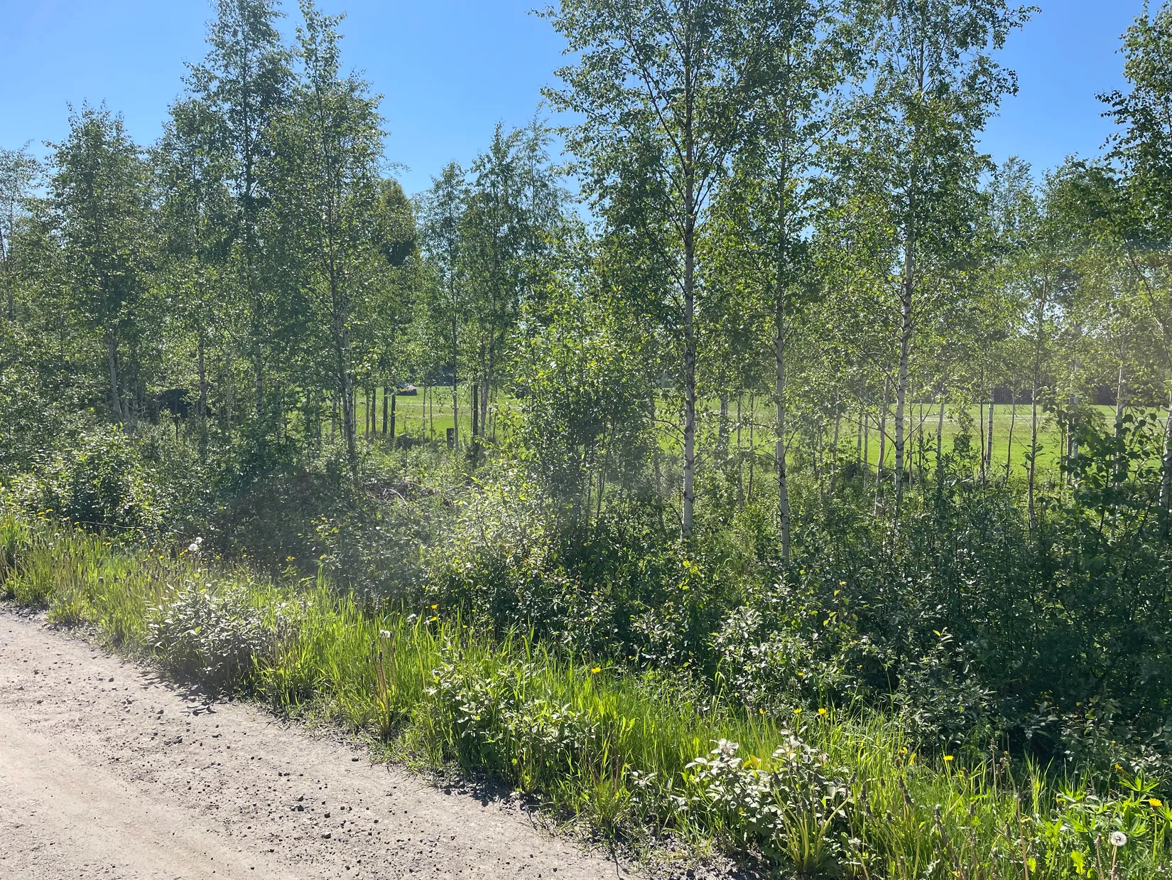 Tomt, Innertavle 364, Innertavle, Umeå