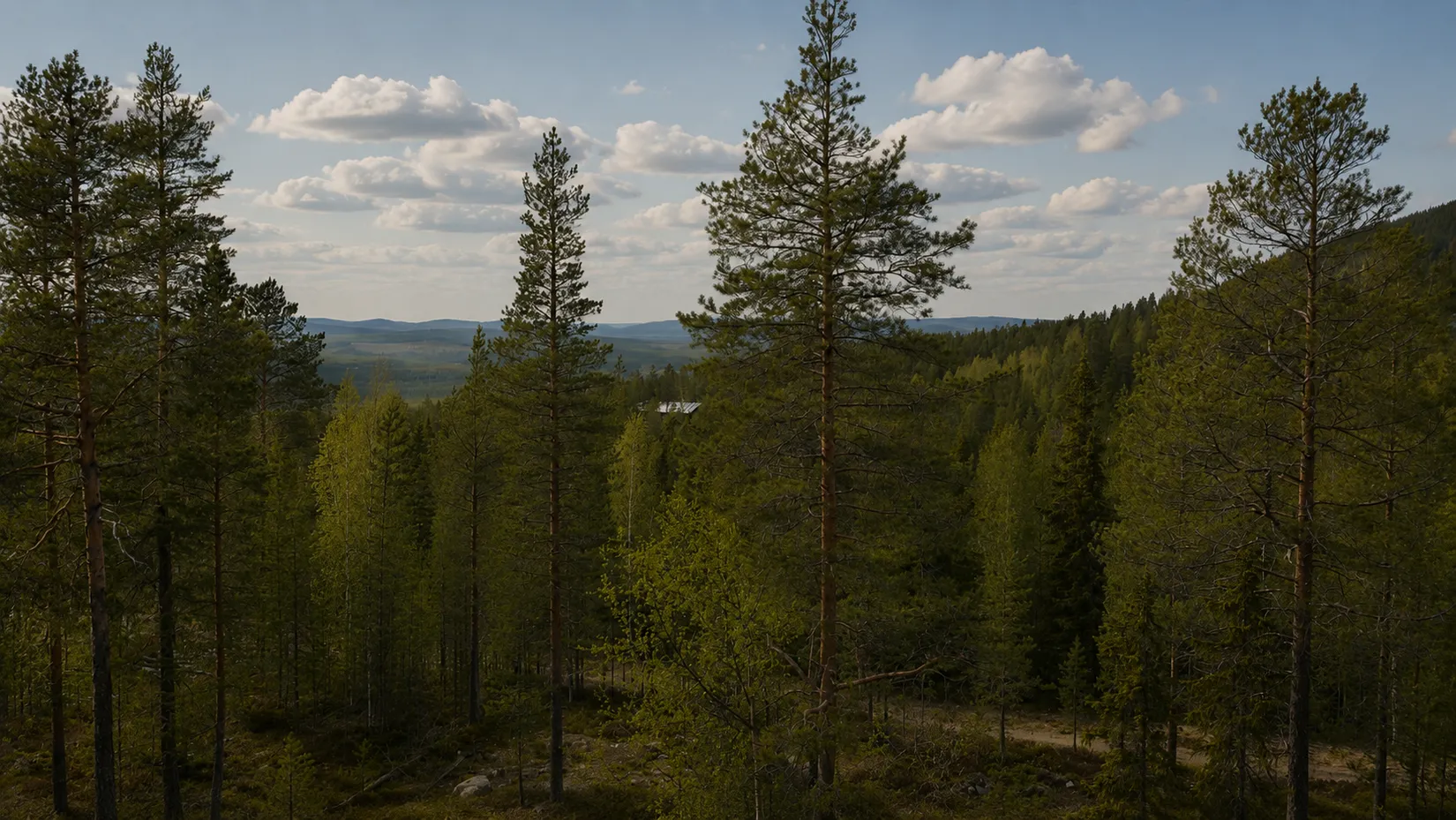 Tomt, Vemdalens kyrkby 43:584, Härjedalen