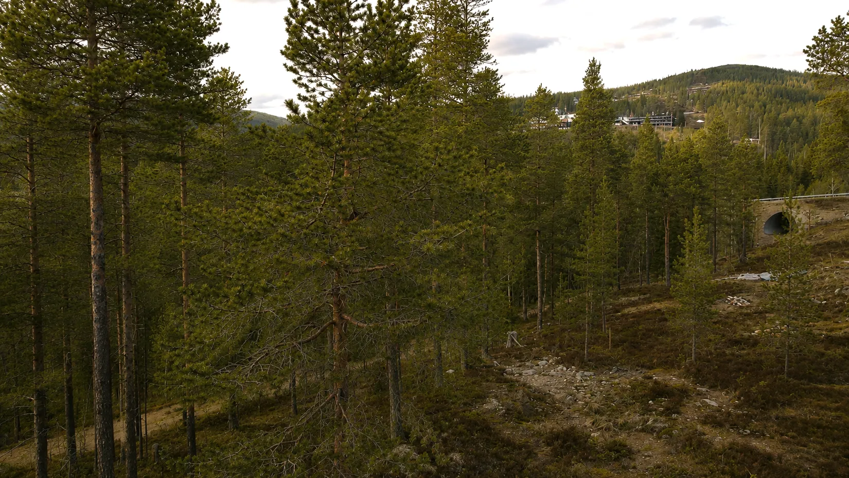 Tomt, Vemdalens kyrkby 43:584, Härjedalen