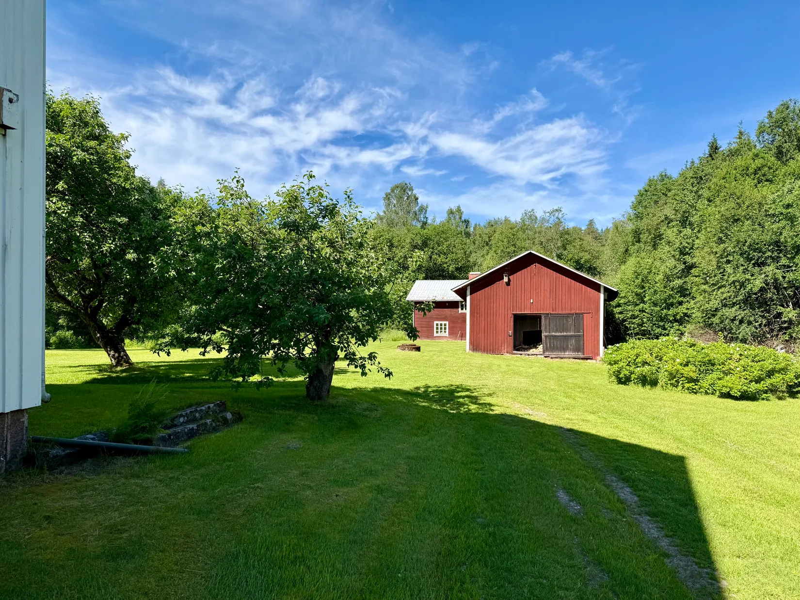 Gård/Skog, Kollerud 51, Fensbol med omnejd, Torsby