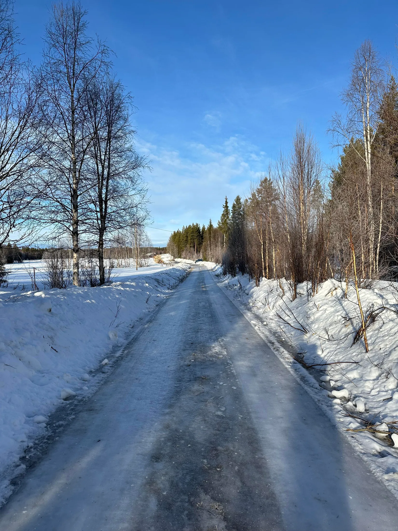 Gård/Skog, Måsadike 11, Sorsele