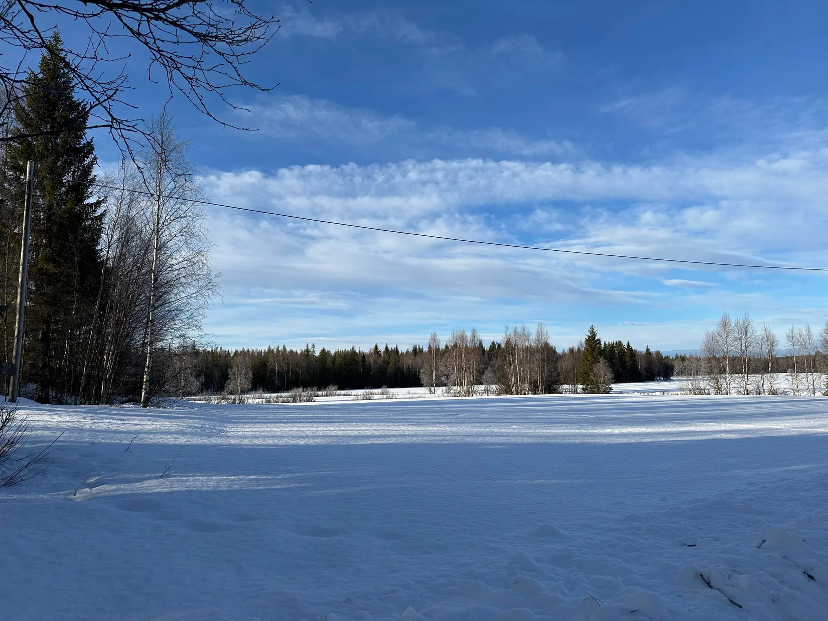 Gård/Skog, Måsadike 11, Sorsele