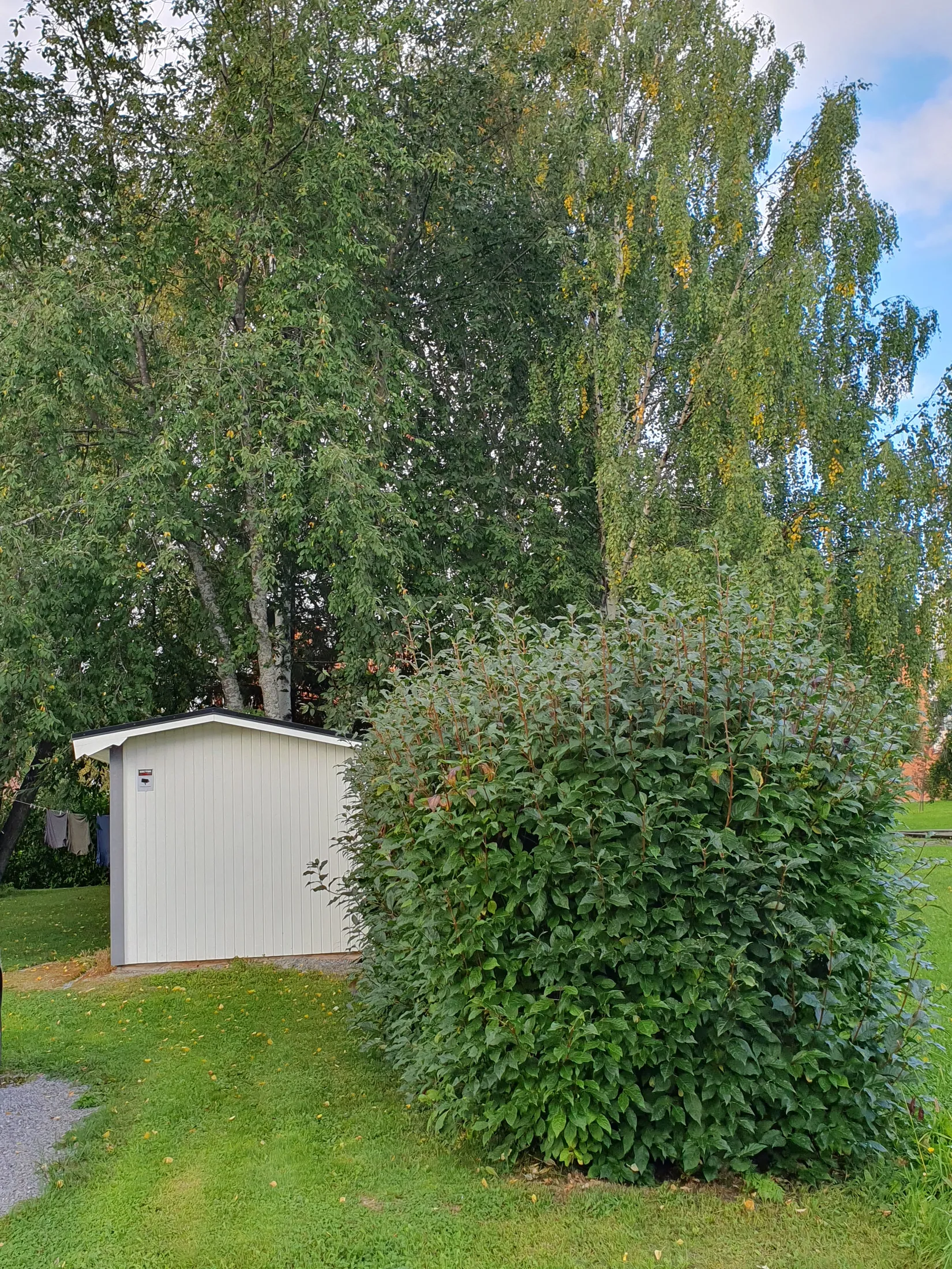 Villa, Krokgatan 7, Skellefteå