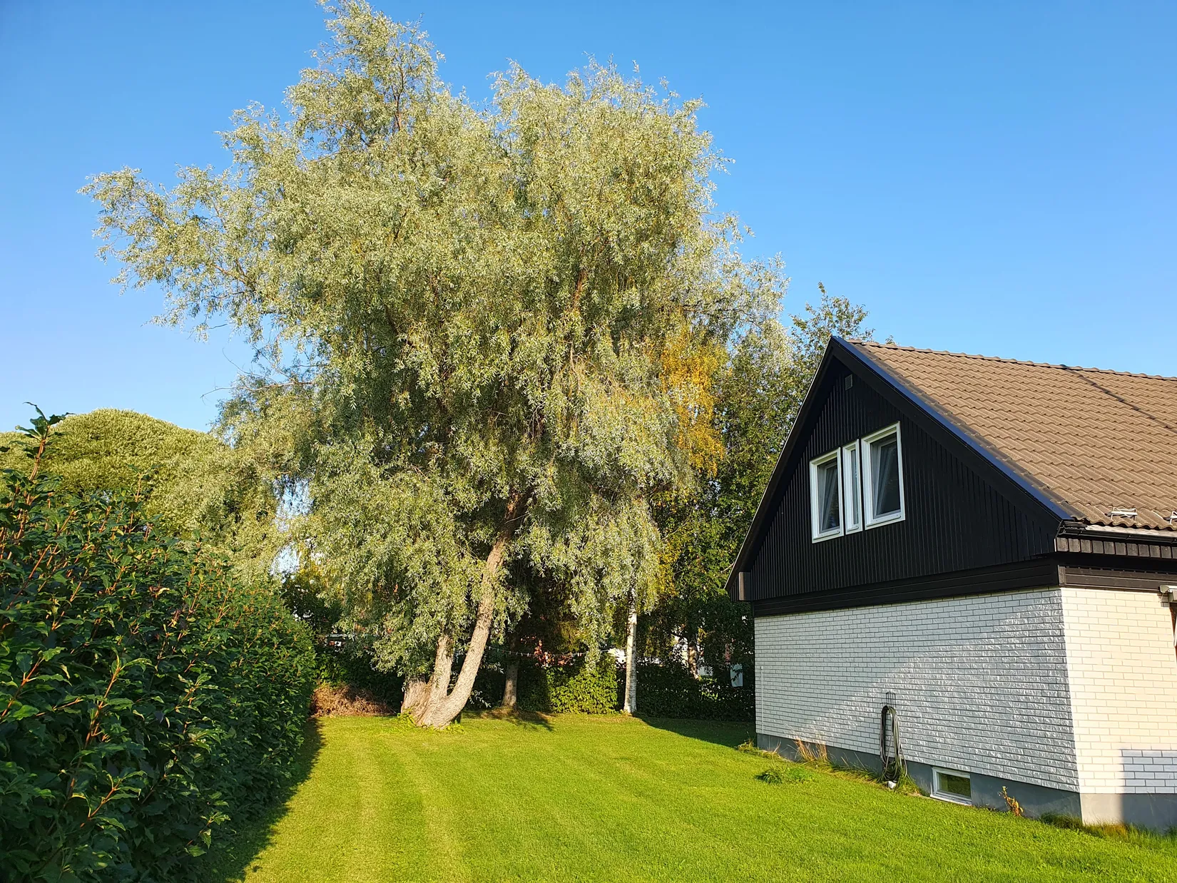 Villa, Krokgatan 7, Skellefteå