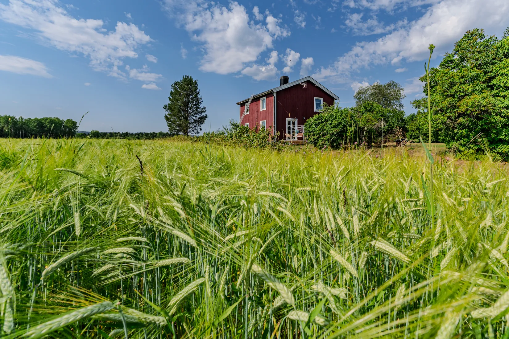 Gård/Skog, Storselet 14, Kåge, Skellefteå