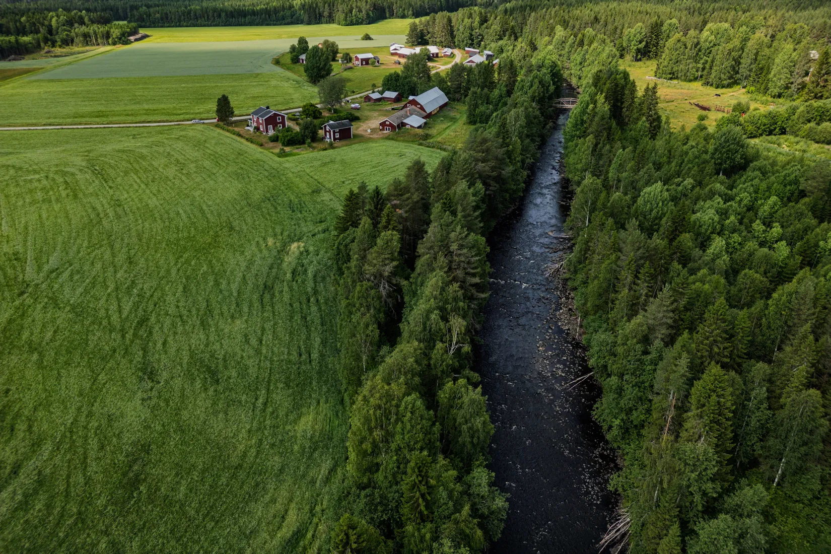 Gård/Skog, Storselet 14, Kåge, Skellefteå