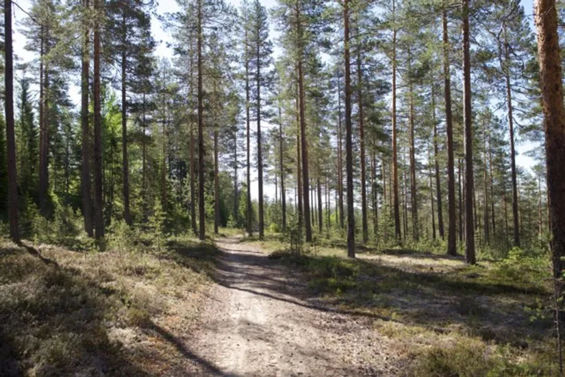 Fritidshus, Brännan 20, Vännäs