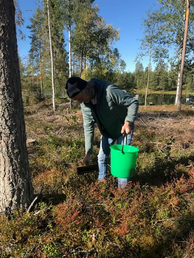 Fritidshus, Brännan 20, Vännäs