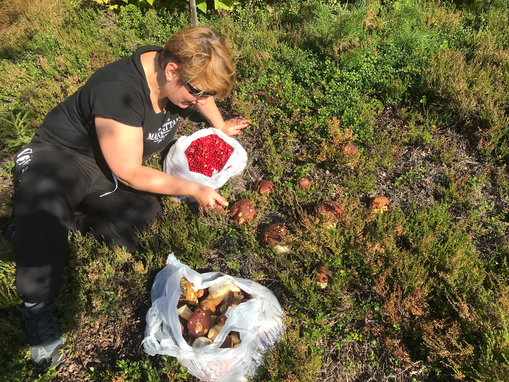 Fritidshus, Brännan 20, Vännäs