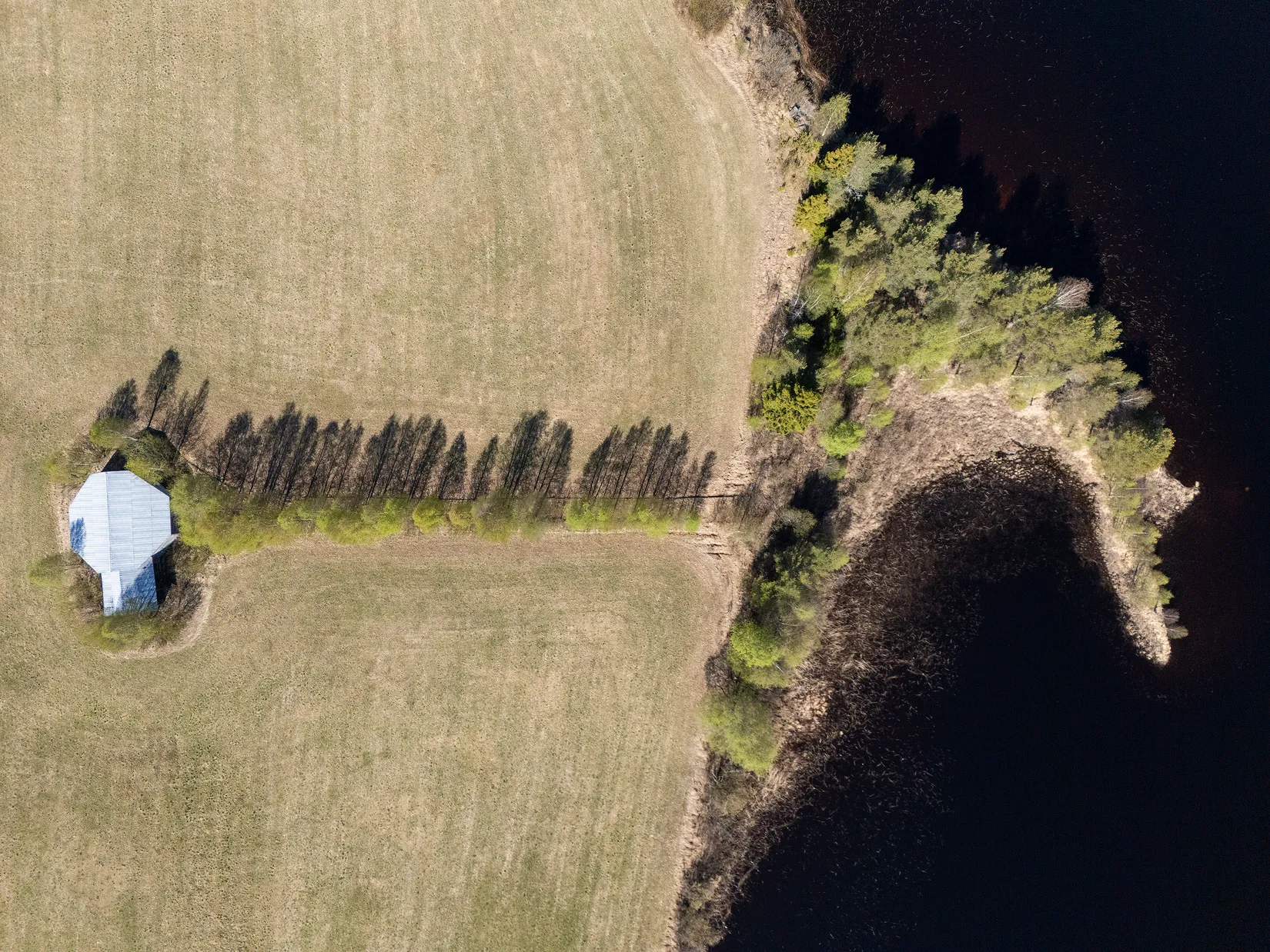 Gård/Skog, Långträsk 4, Långträsk, Norsjö