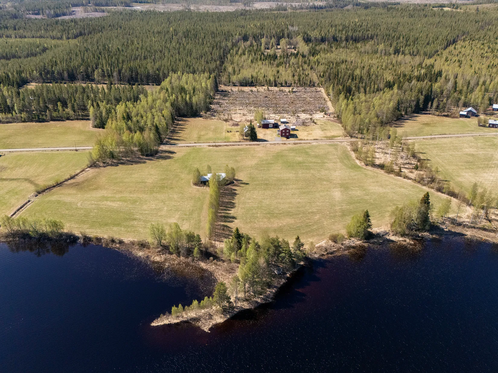 Gård/Skog, Långträsk 4, Långträsk, Norsjö