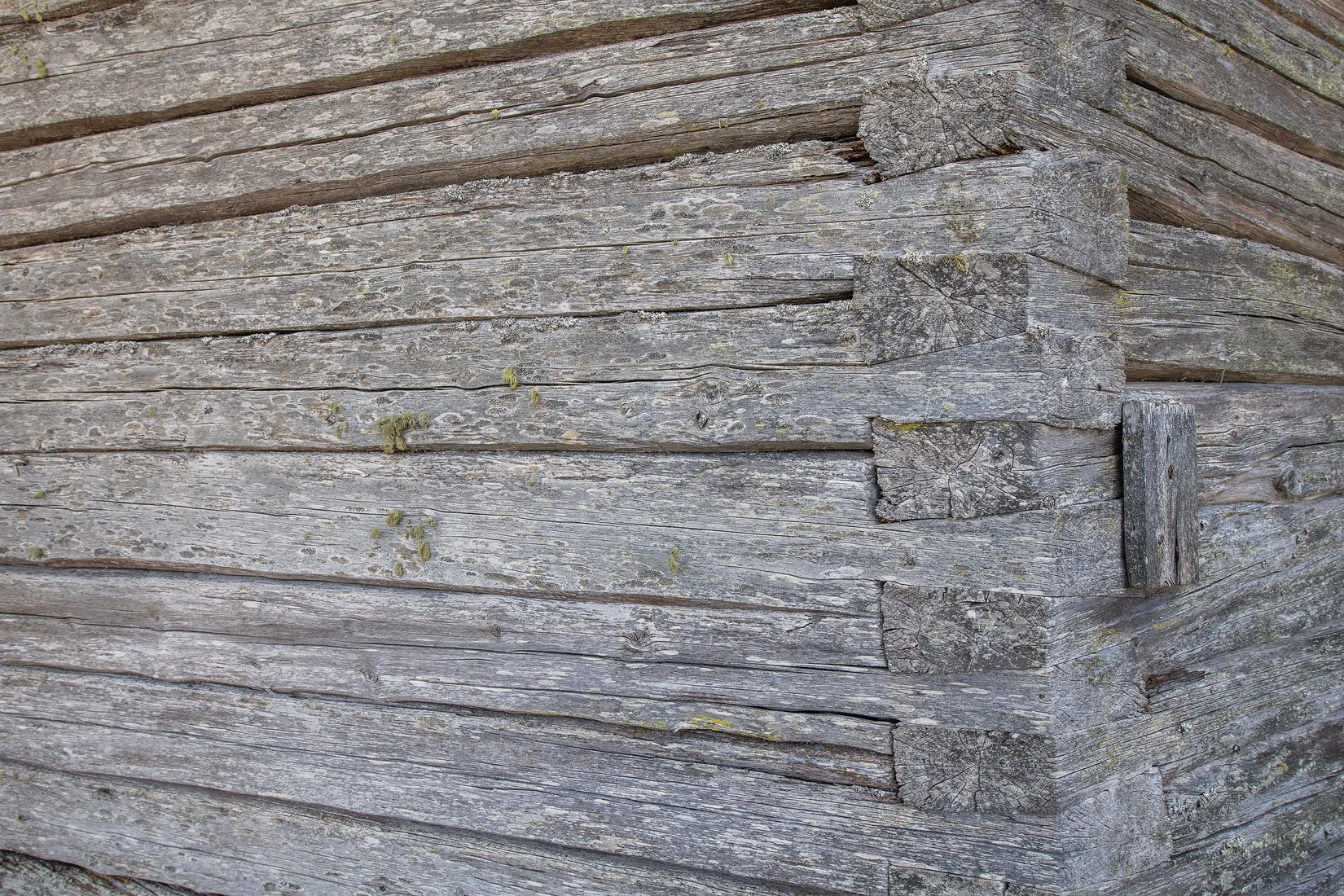 Gård/Skog, Långträsk 4, Långträsk, Norsjö