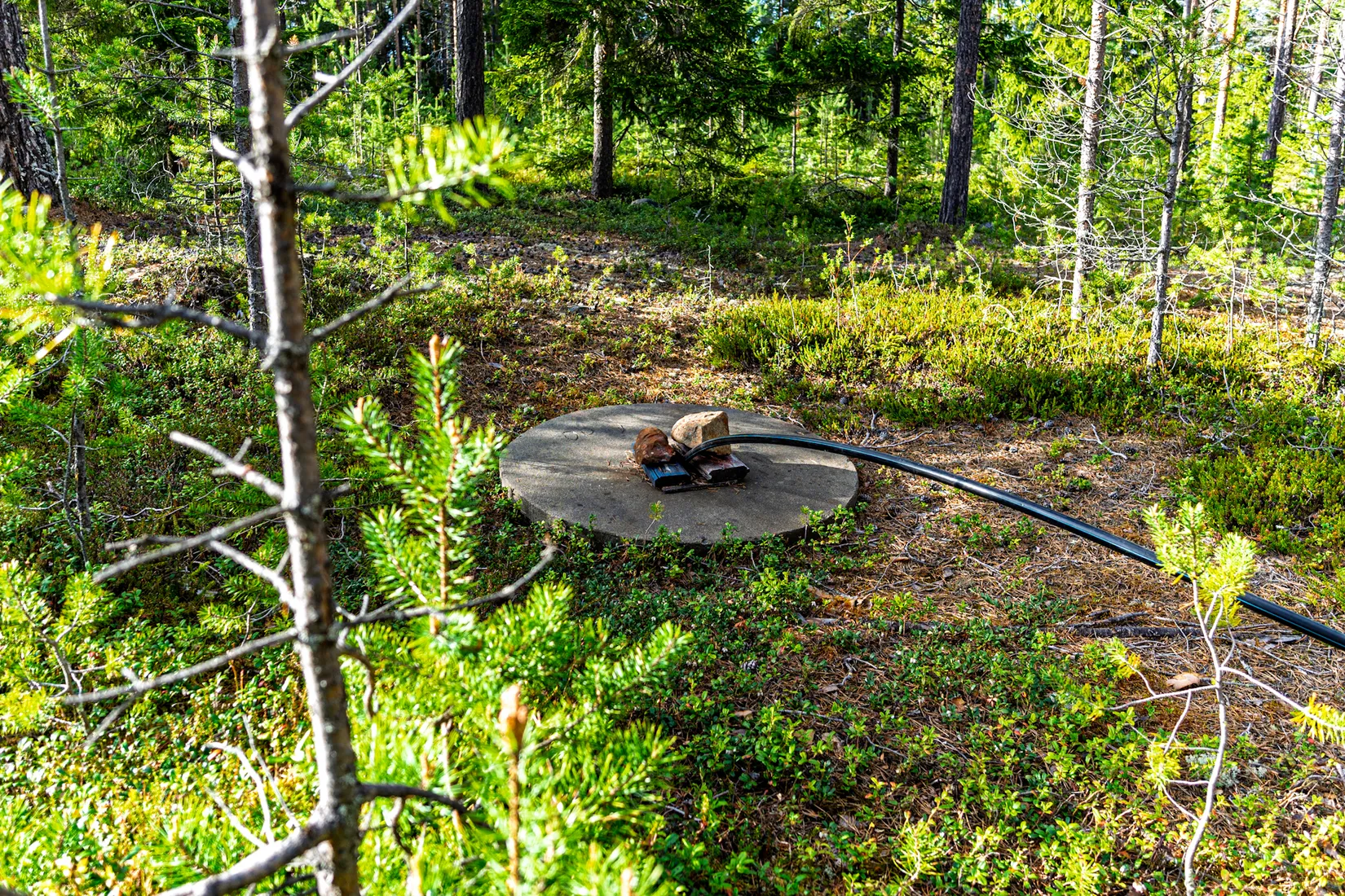 Gård/Skog, Sandviken - Hedensbyn 3:16, Sandviken, Skellefteå