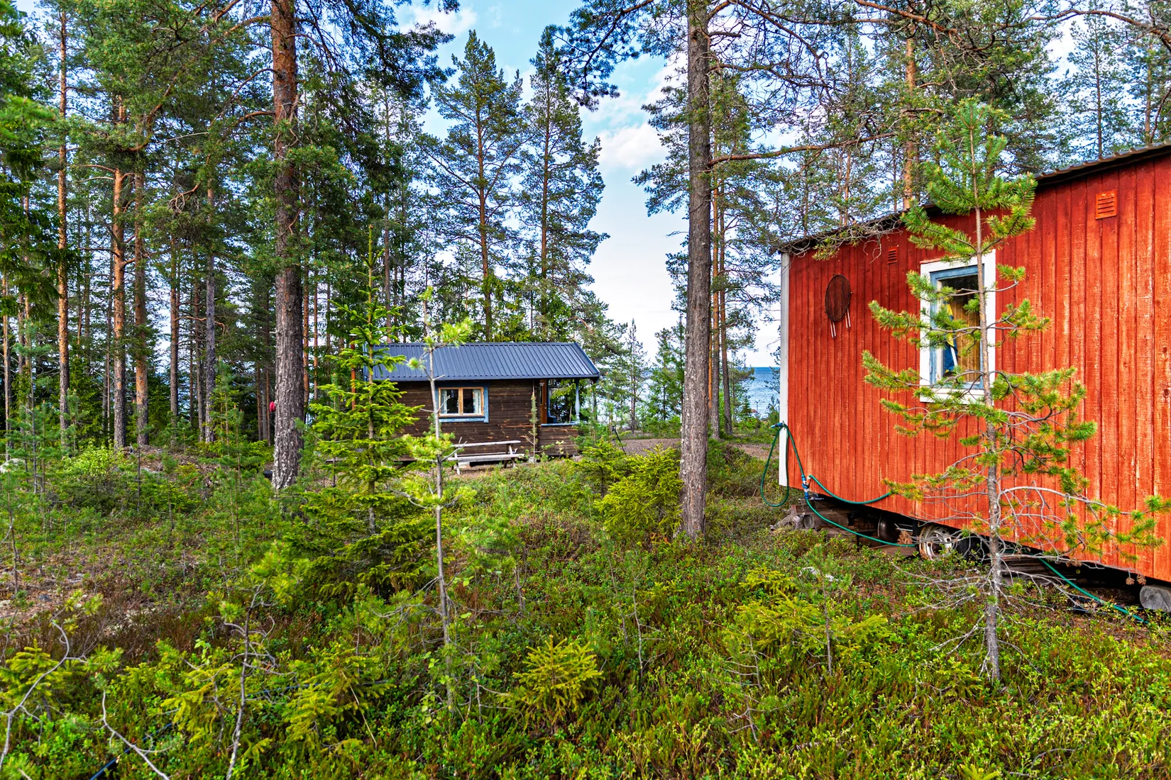 Gård/Skog, Sandviken - Hedensbyn 3:16, Sandviken, Skellefteå