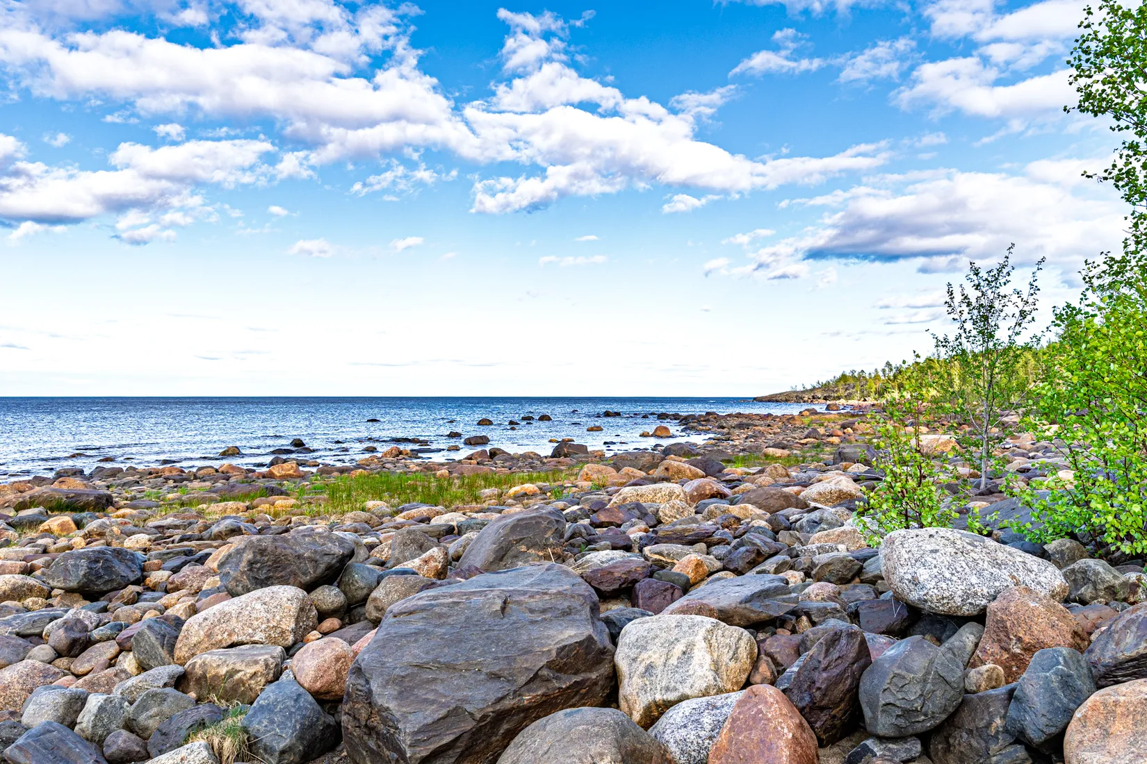 Gård/Skog, Sandviken - Hedensbyn 3:16, Sandviken, Skellefteå