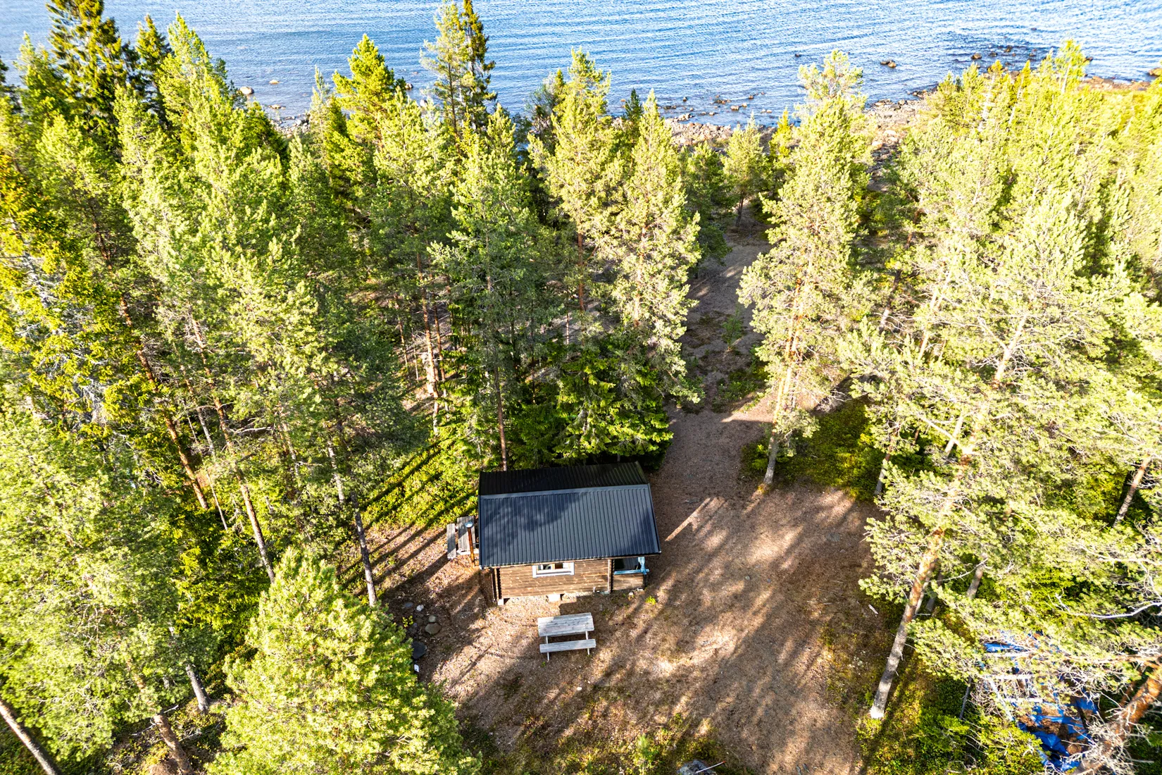 Gård/Skog, Sandviken - Hedensbyn 3:16, Sandviken, Skellefteå