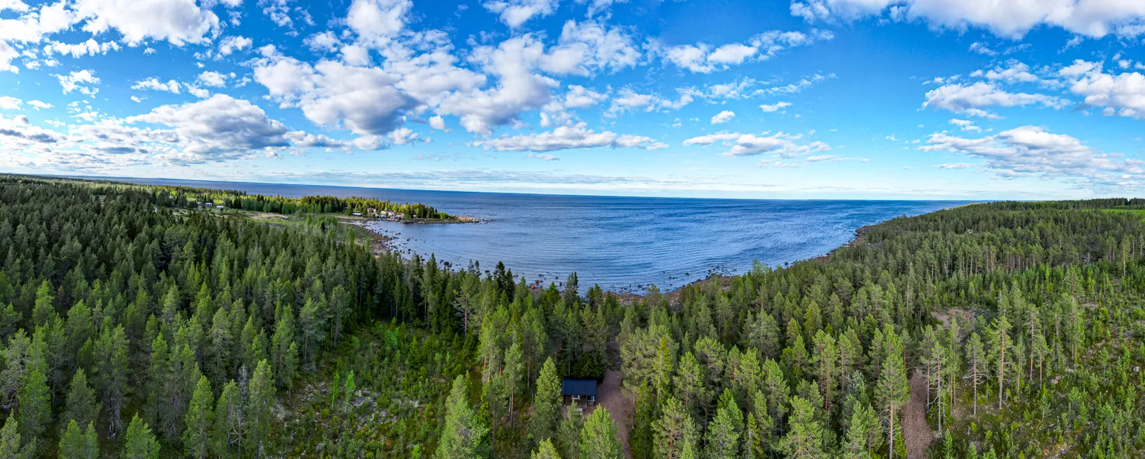 Gård/Skog, Sandviken - Hedensbyn 3:16, Sandviken, Skellefteå