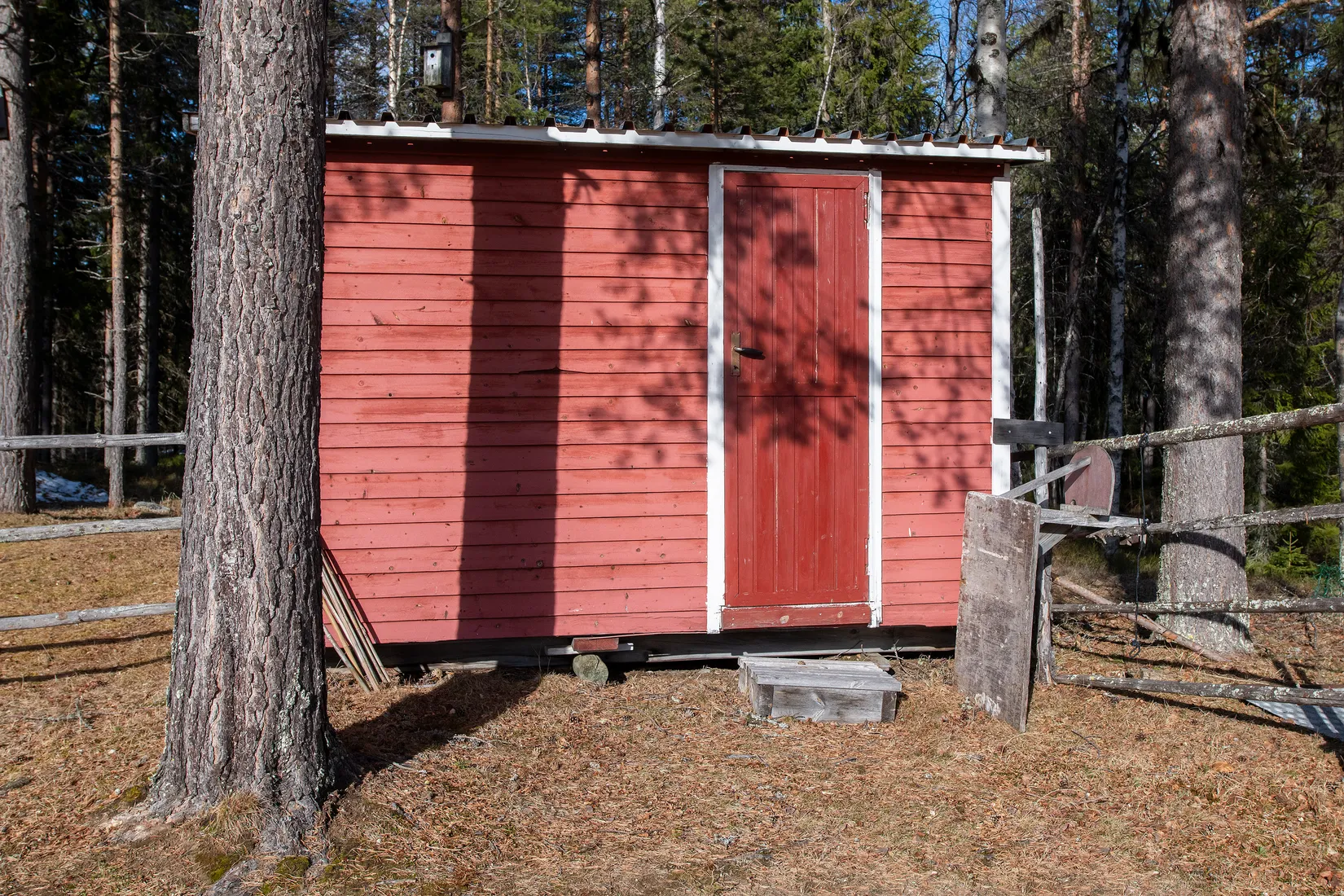 Gård/Skog, Tjärngård 1, Tjärngård, Malå