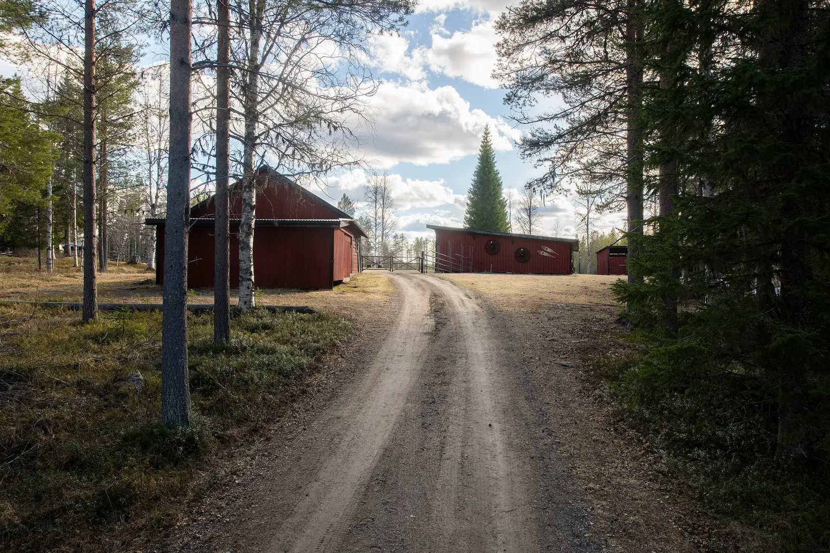 Gård/Skog, Tjärngård 1, Tjärngård, Malå