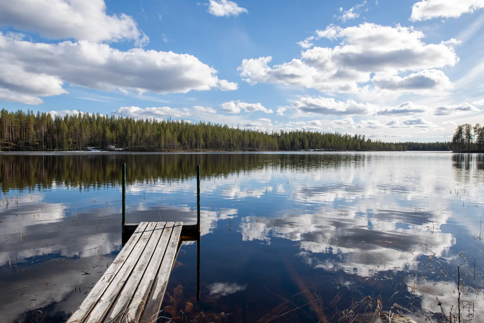 Gård/Skog, Tjärngård 1, Tjärngård, Malå