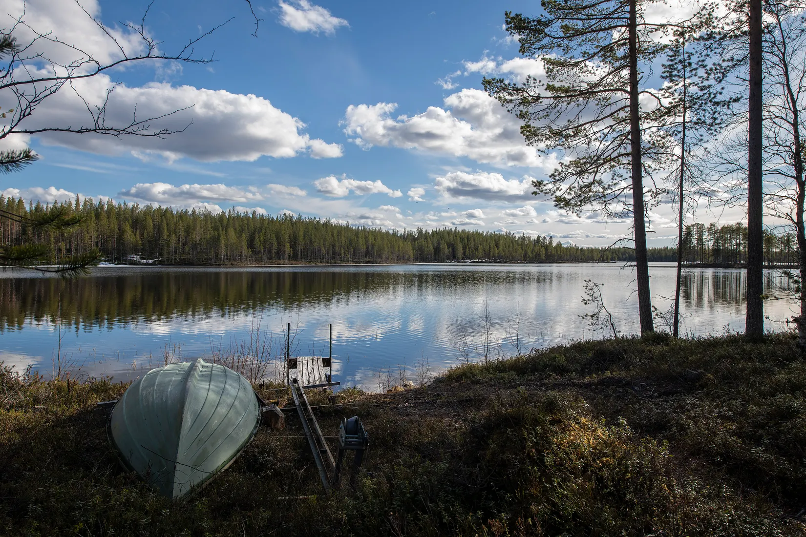 Gård/Skog, Tjärngård 1, Tjärngård, Malå