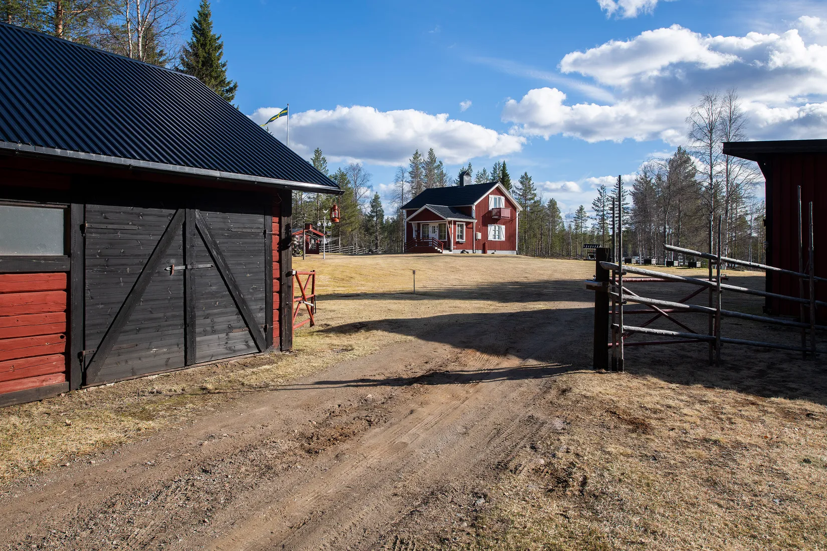 Gård/Skog, Tjärngård 1, Tjärngård, Malå