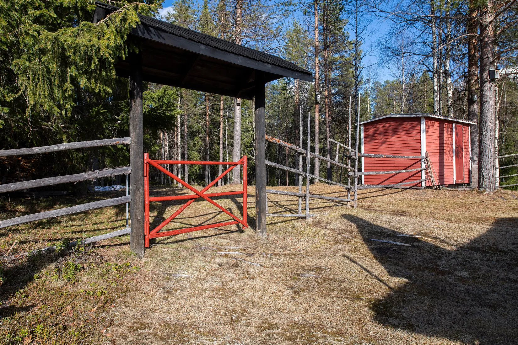 Gård/Skog, Tjärngård 1, Tjärngård, Malå
