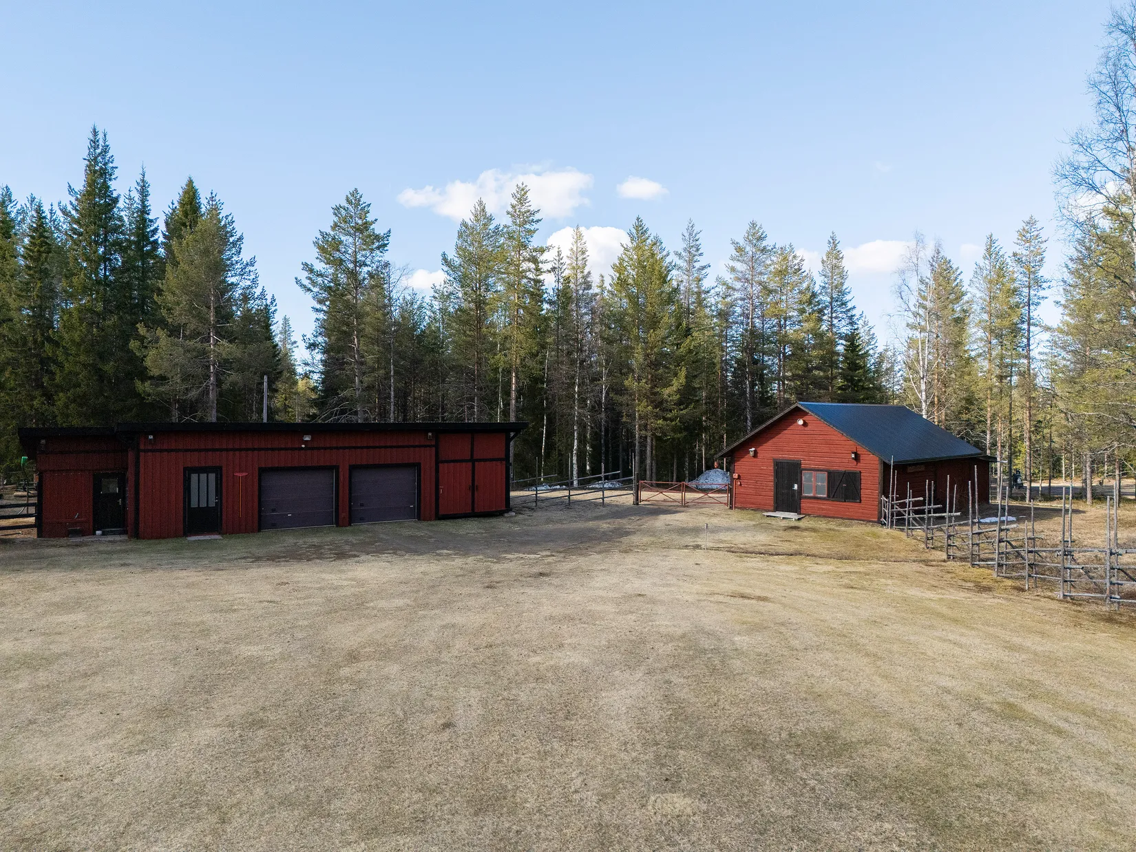 Gård/Skog, Tjärngård 1, Tjärngård, Malå