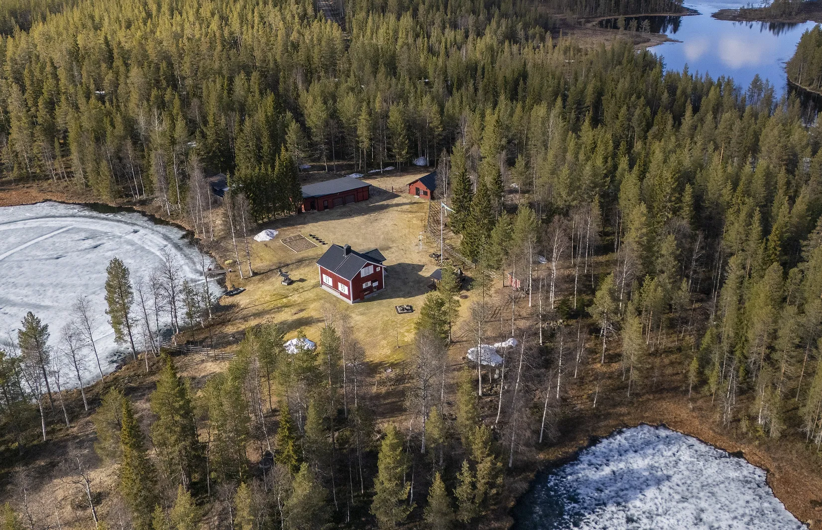 Gård/Skog, Tjärngård 1, Tjärngård, Malå