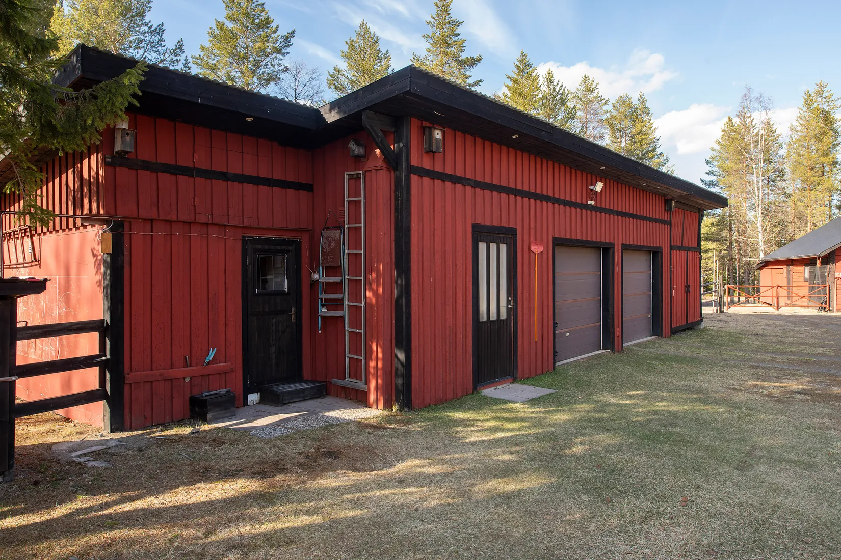 Gård/Skog, Tjärngård 1, Tjärngård, Malå
