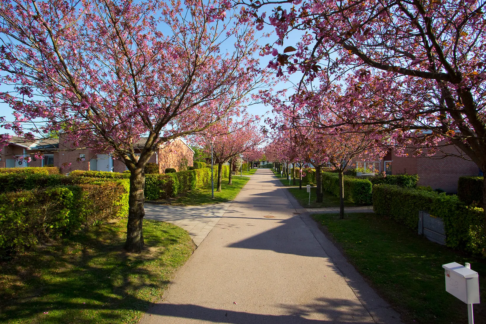 Bostadsrätt, Villagatan 52, Mörarp, Helsingborg