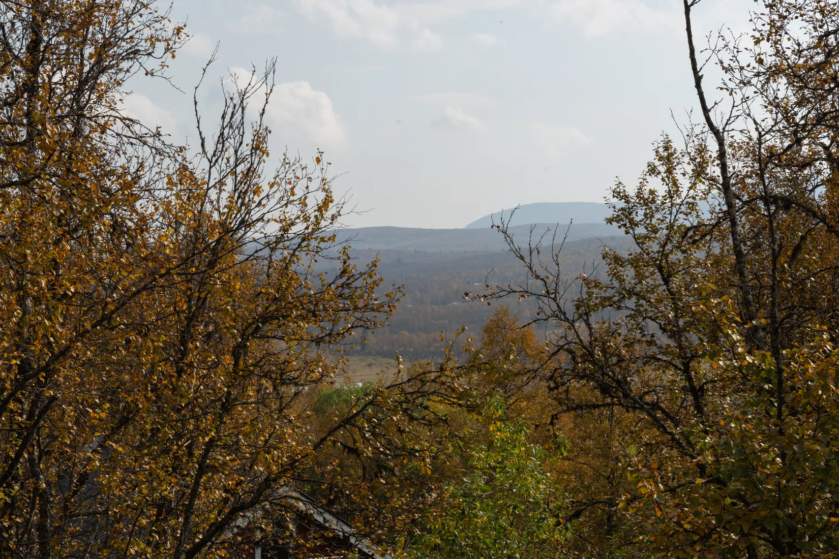 Fritidshus, Rörosvägen 590, Härjedalen
