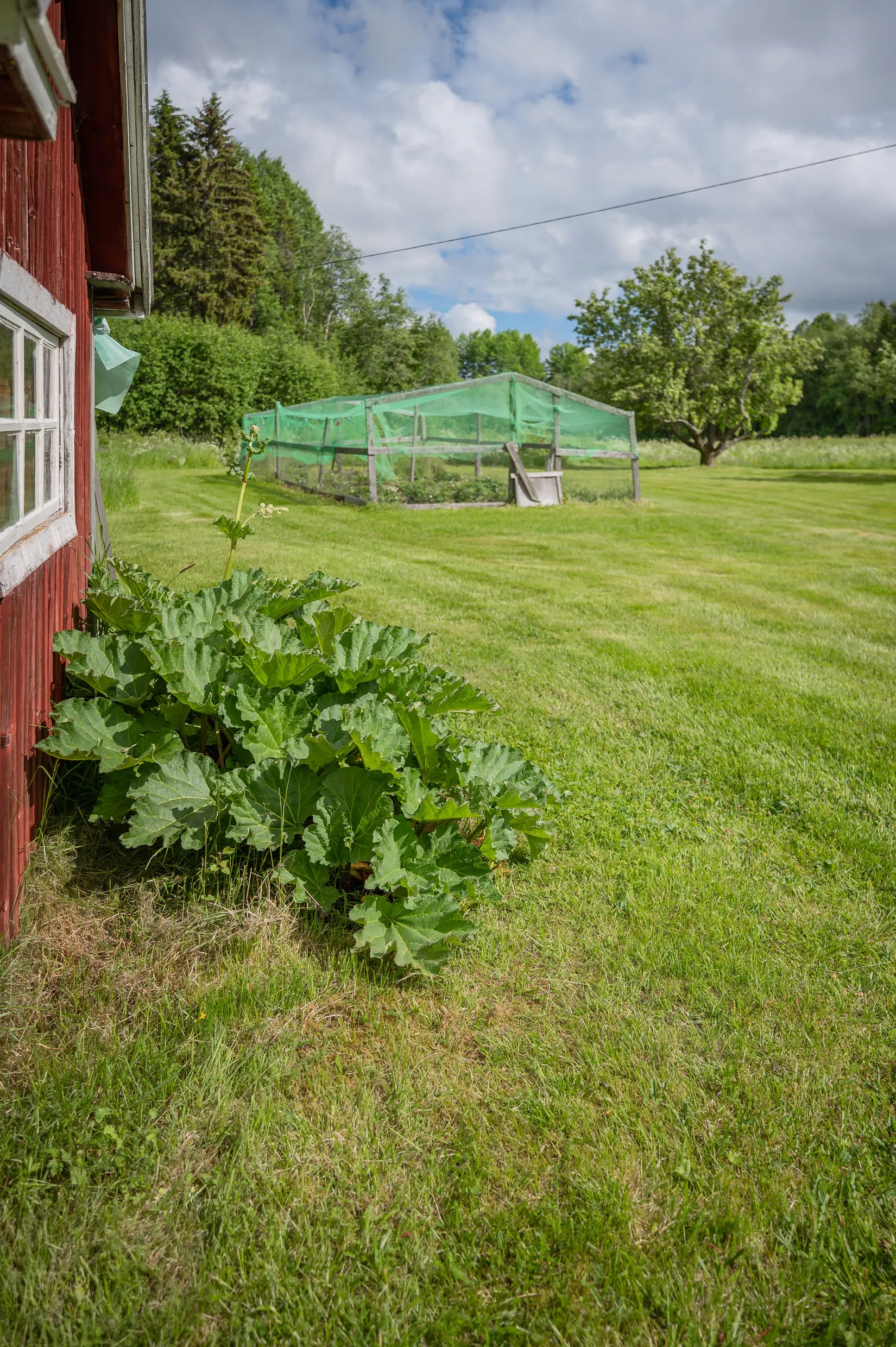 Gård/Skog, Skärpe 130, Skärpe, Örnsköldsvik