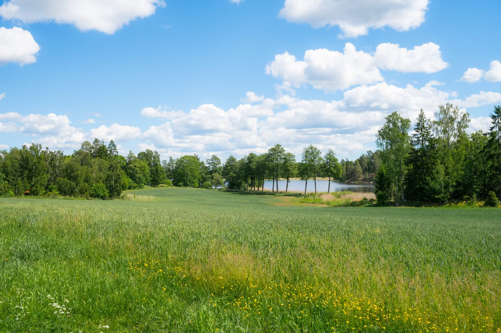 Villa, Starrkärrsvägen Hassön 2, Flen