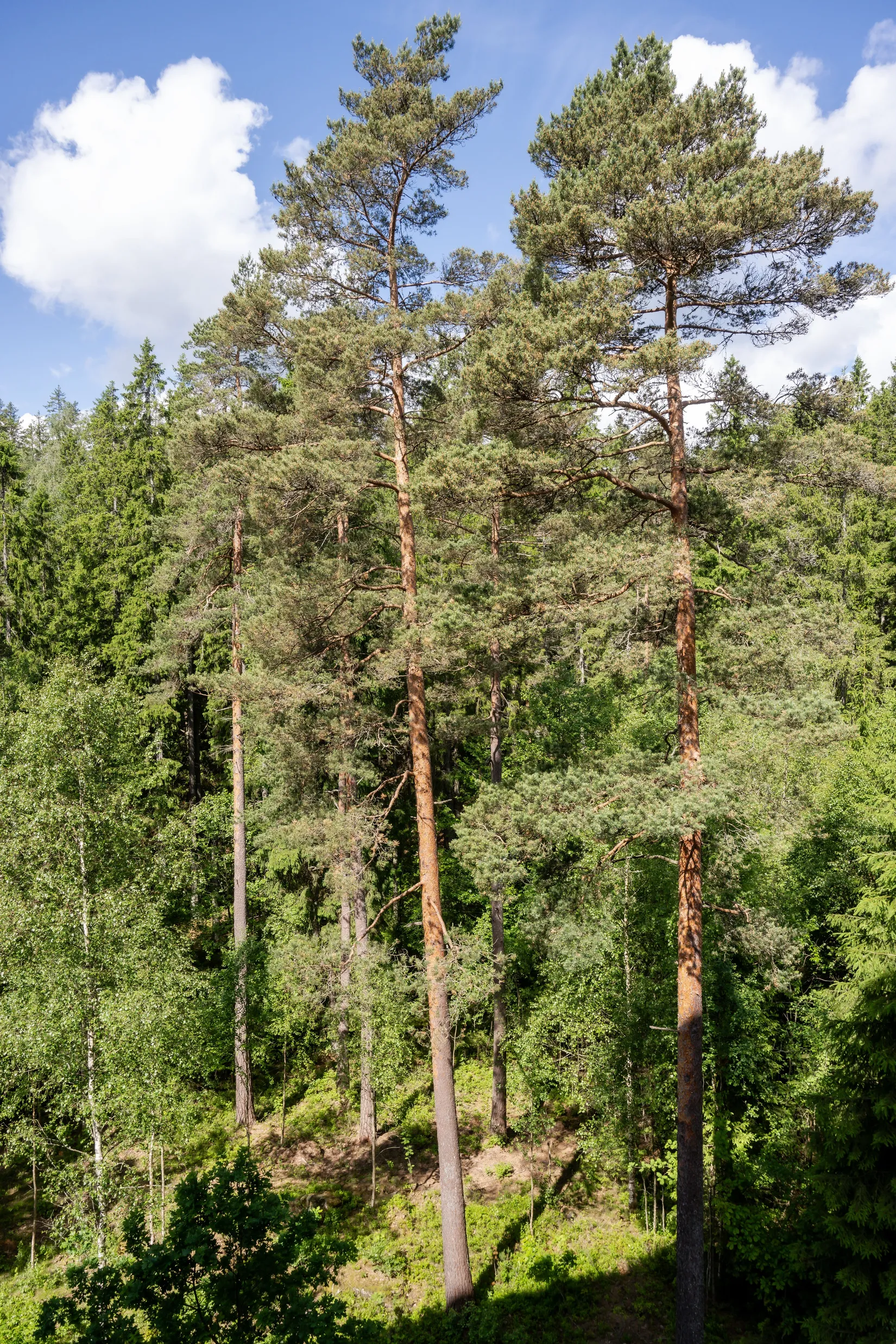 Bostadsrätt, Hestra Ringväg 15, Hestra, Borås