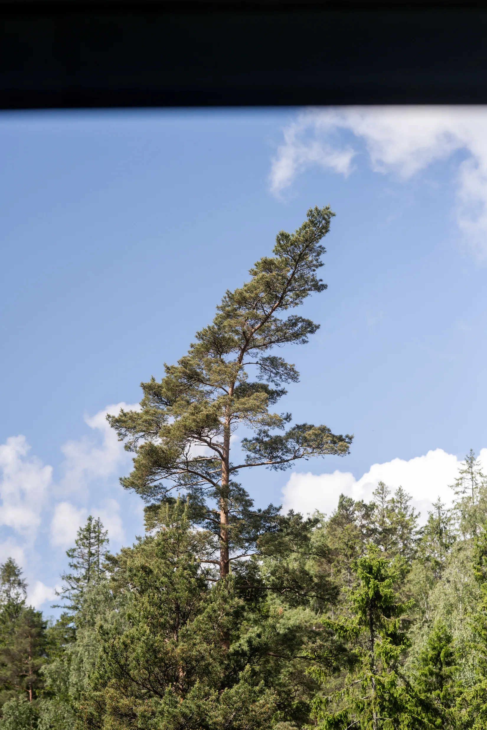 Bostadsrätt, Hestra Ringväg 15, Hestra, Borås