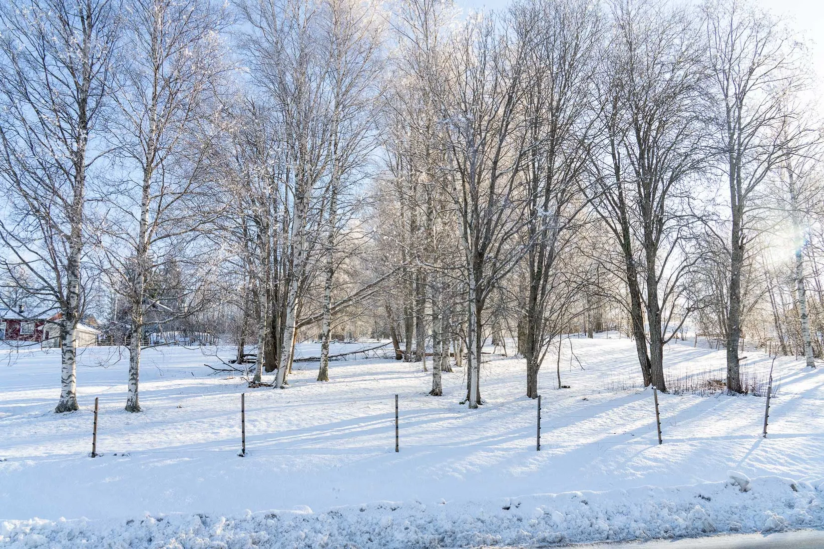 Gård/Skog, efter Faluvägen, Gärdebyn, Rättvik