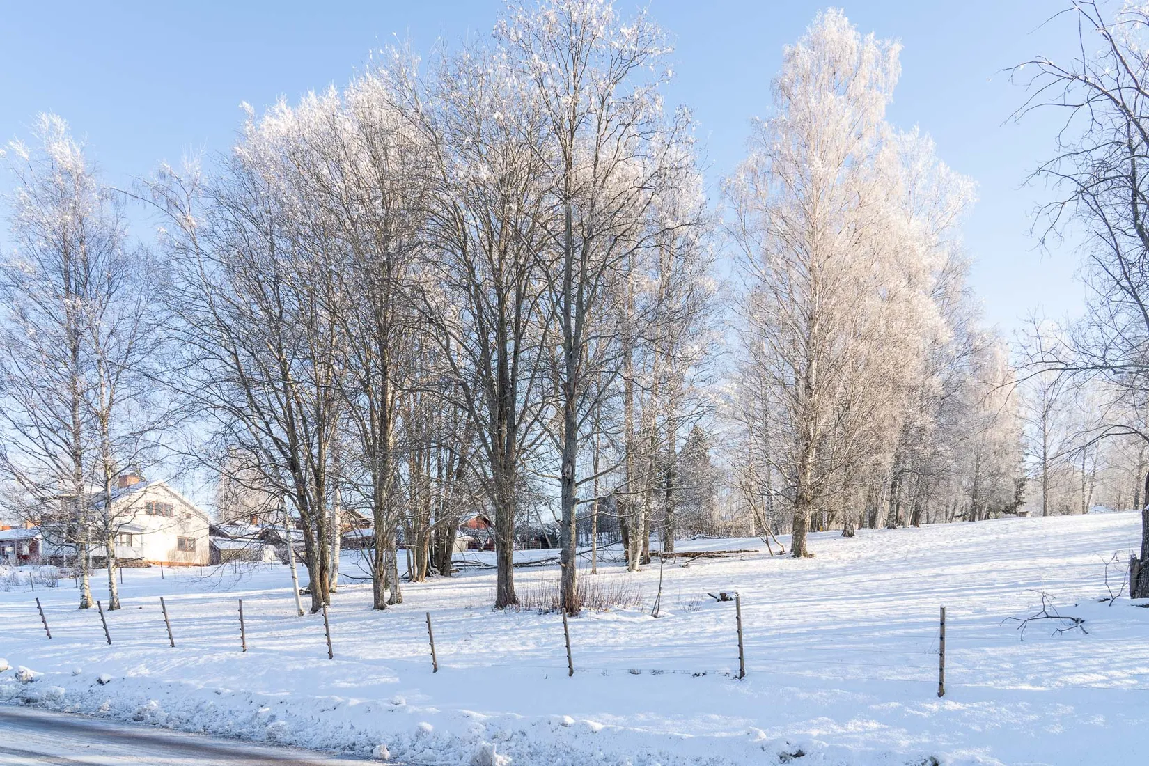 Gård/Skog, efter Faluvägen, Gärdebyn, Rättvik
