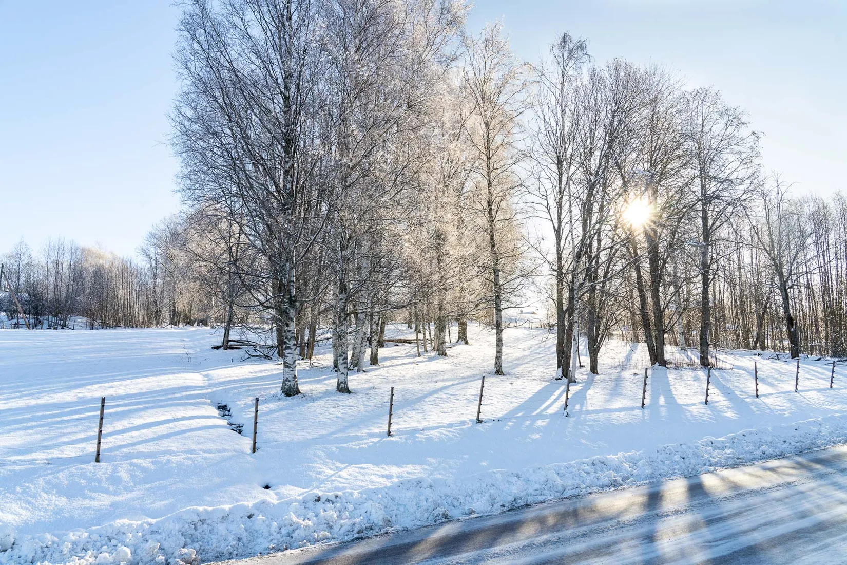 Gård/Skog, efter Faluvägen, Gärdebyn, Rättvik