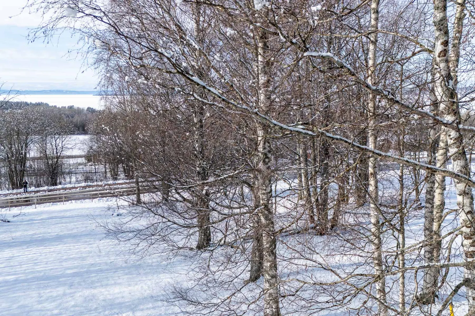 Gård/Skog, efter Faluvägen, Gärdebyn, Rättvik