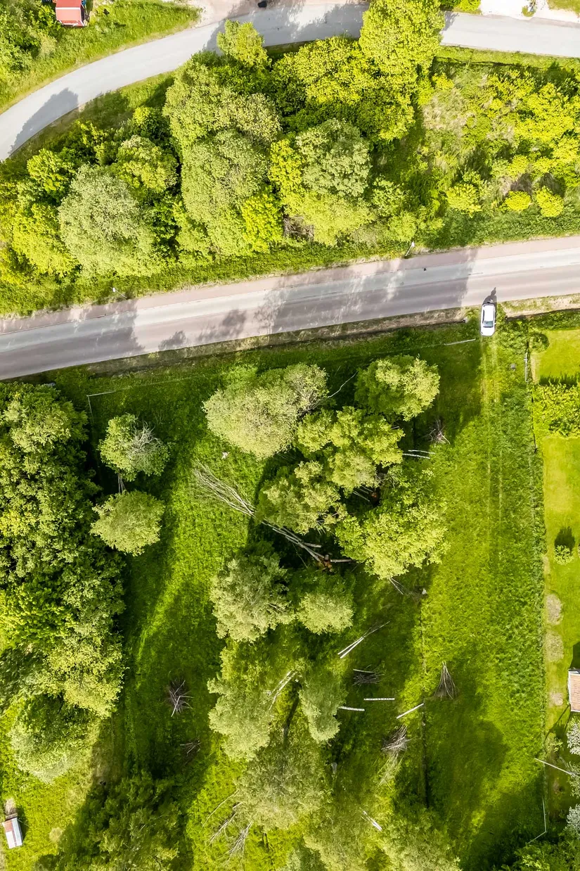 Gård/Skog, efter Faluvägen, Gärdebyn, Rättvik