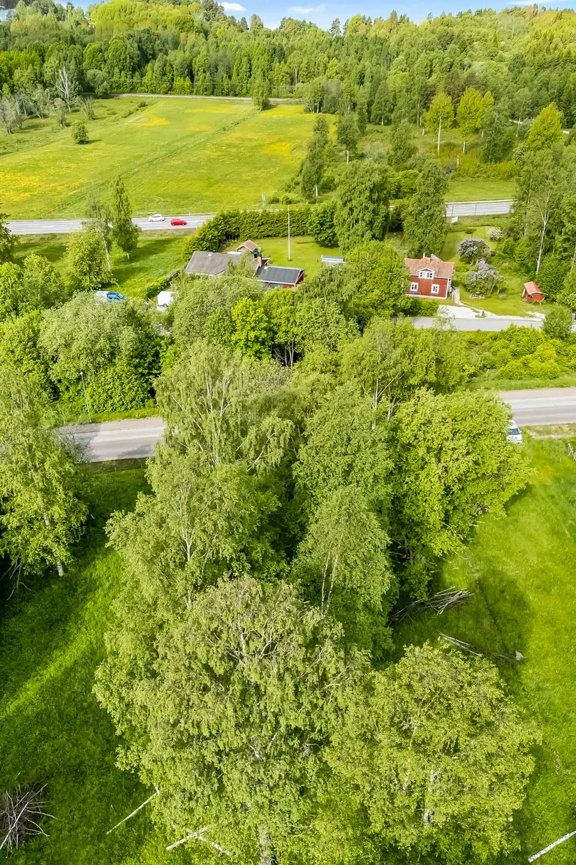 Gård/Skog, efter Faluvägen, Gärdebyn, Rättvik