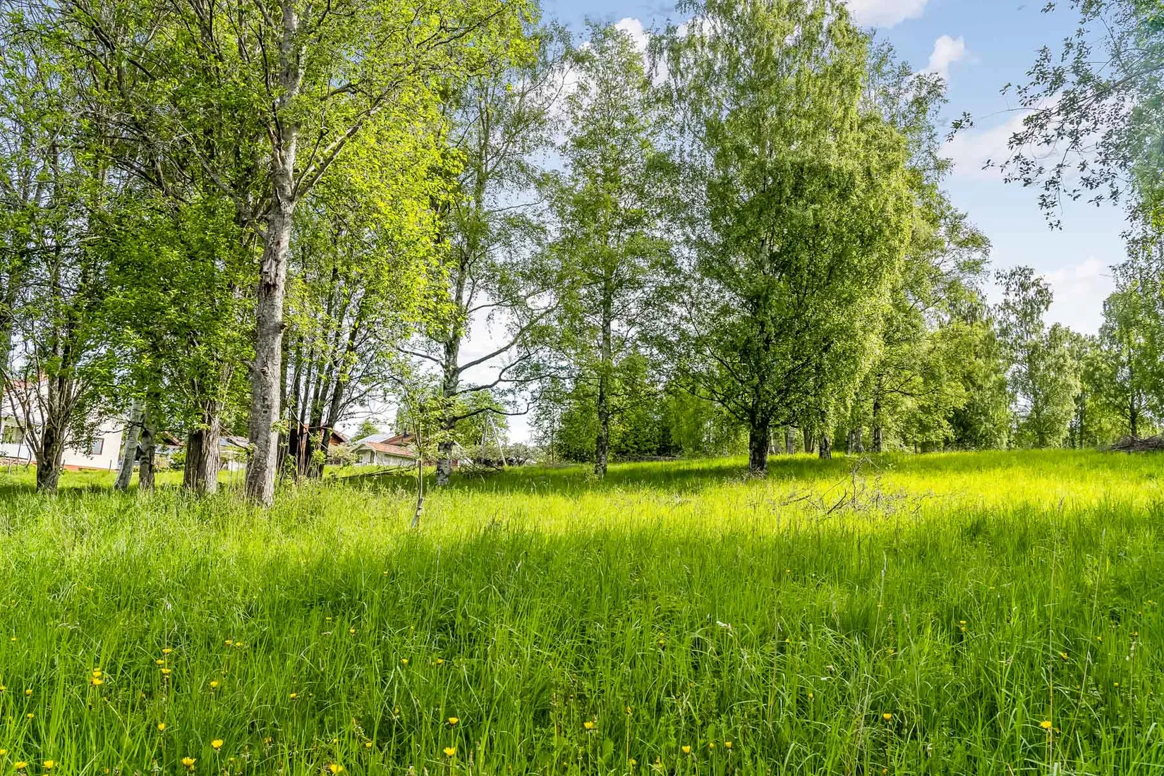 Gård/Skog, efter Faluvägen, Gärdebyn, Rättvik